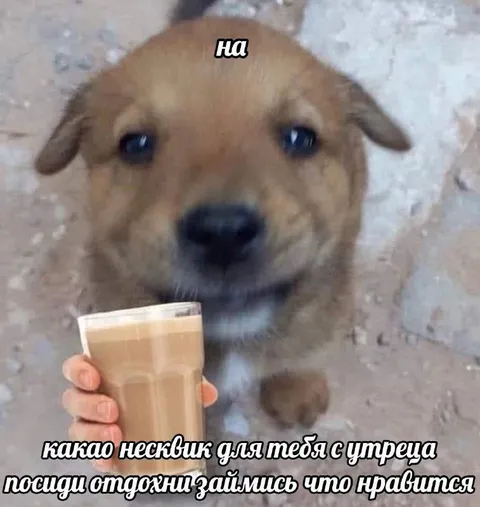 Какао несквик для тебя с утреца