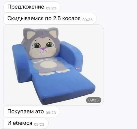 Скидываемся на кресло-кота