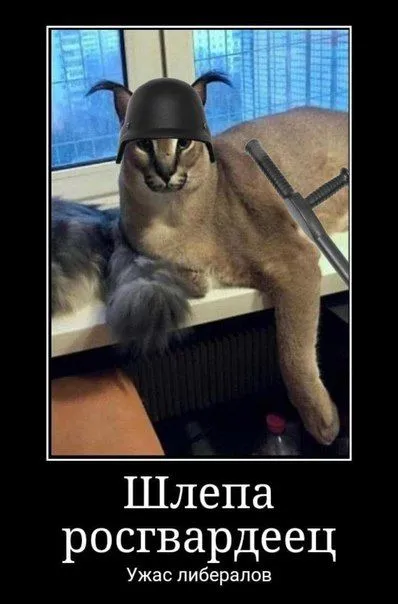 Шлепа — ростгвардеец