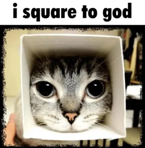 I Square to God Cat