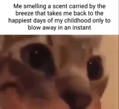 Nostalgic Scent Makes Cat Cry