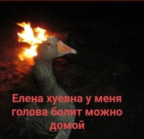 Гусь с горящей головой