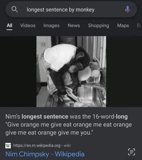 Nim's Longest Sentence