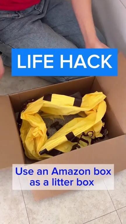 Amazon Box Litter Box Trap
