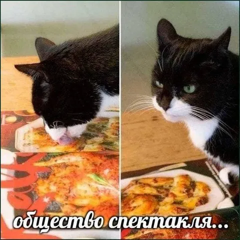 Общество спектакля и осуждение