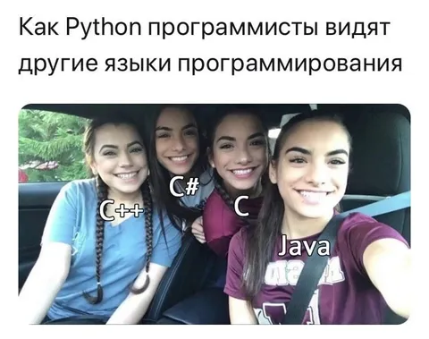 Как Python видит другие языки