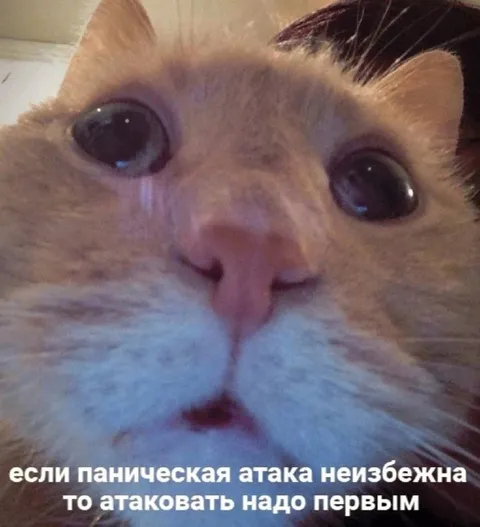 Паническая атака неизбежна