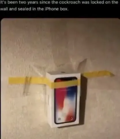 Cockroach Sealed in an iPhone Box