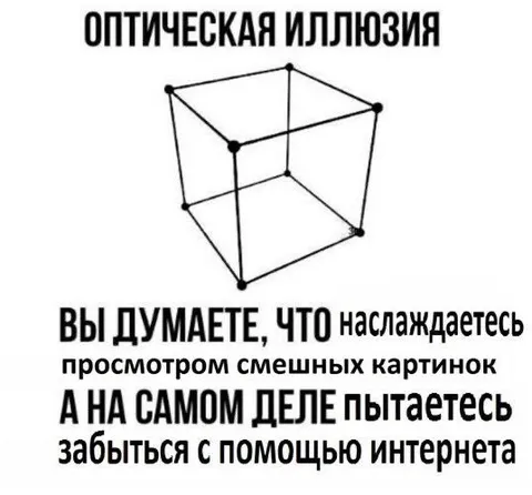 Оптическая иллюзия про интернет