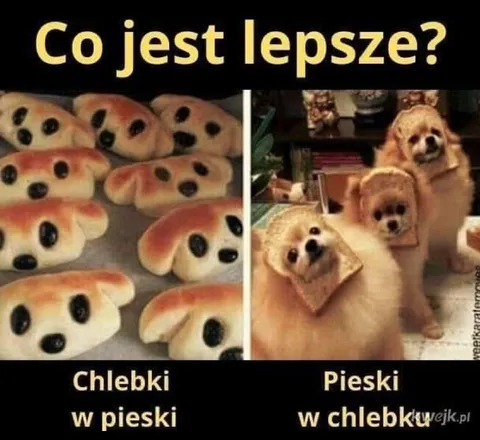 Chlebki w pieski