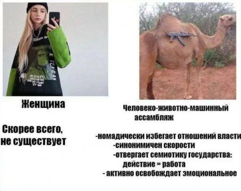 Человеко-животно-машинный ассамбляж