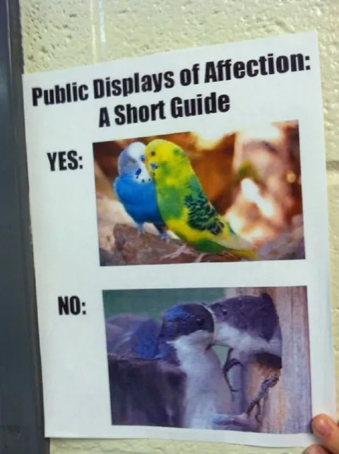 Public Displays of Affection Guide