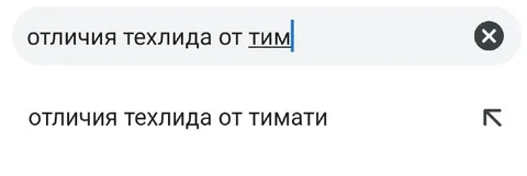 Отличия техлида от Тимати