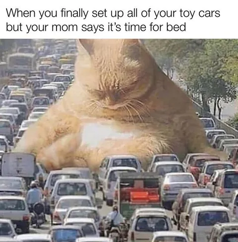 Toy Cars Traffic Jam Cat