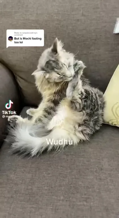 Mochi’s Ramadan Day