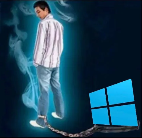 Раб Windows навсегда