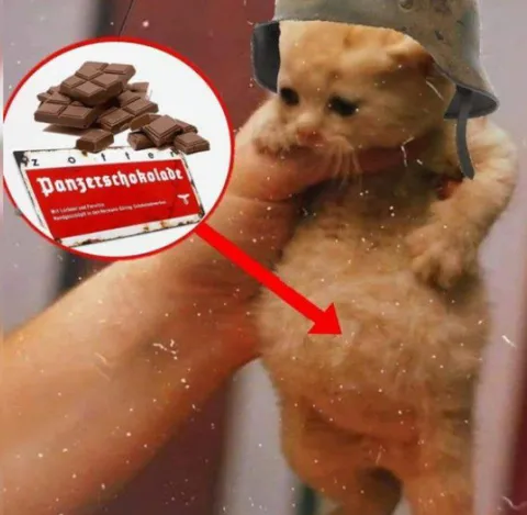 Panzerschokolade-Hamster im Helm