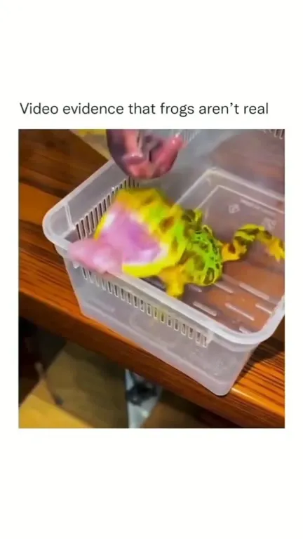 Evidence That Frogs Aren’t Real