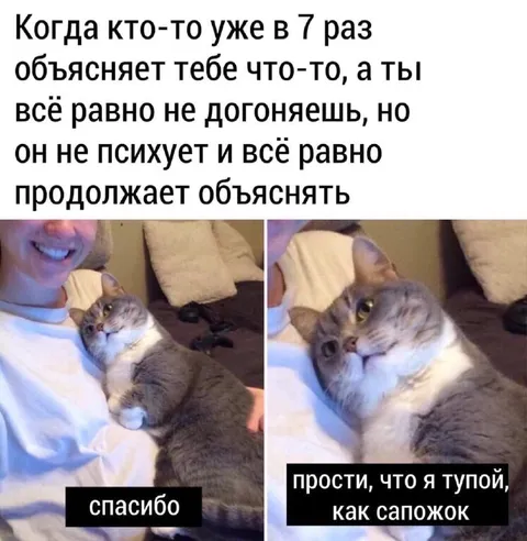 Когда объясняют в седьмой раз