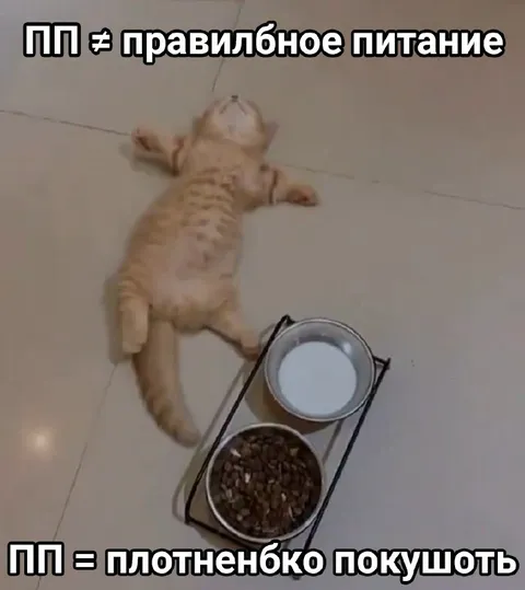ПП по-кошачьи