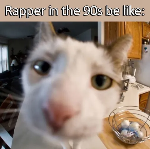 Rapper in the 90s Be Like
