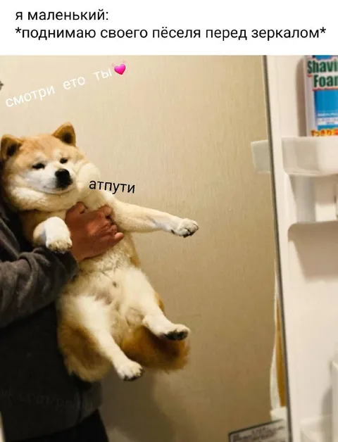 Маленький перед зеркалом