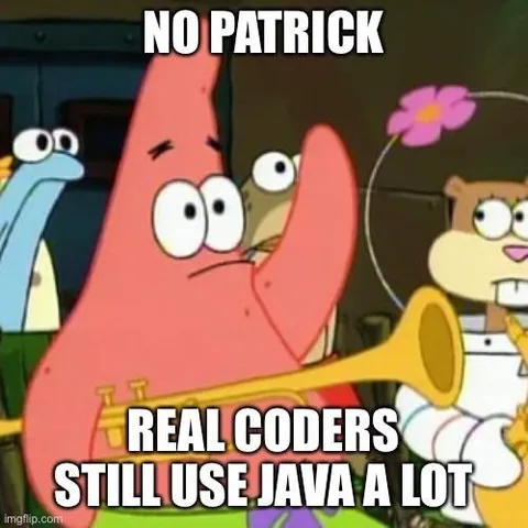 Real Coders Still Use Java
