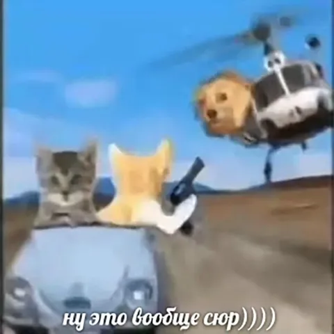 Ну это вообще сюр