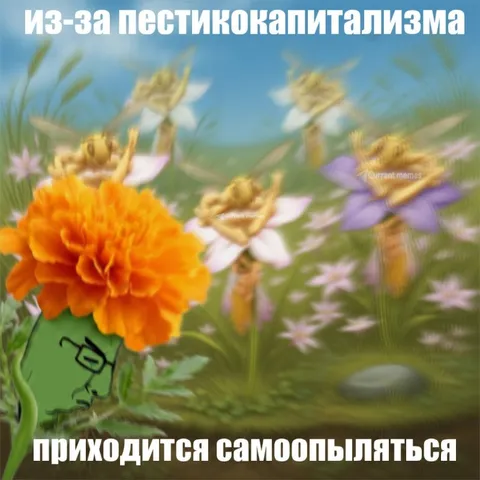 Из-за пестикокапитализма приходится самоопыляться