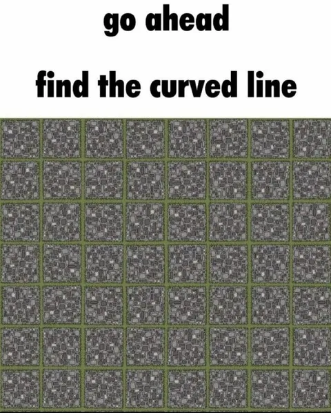 Find the Curved Line