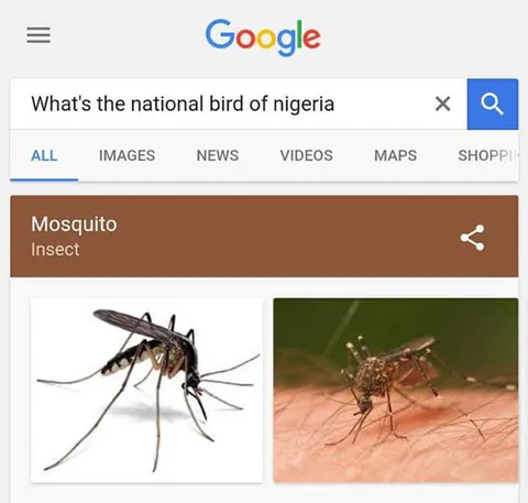 Nigeria's National Bird Is a Mosquito