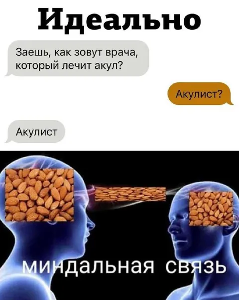 Акулист и миндальная связь
