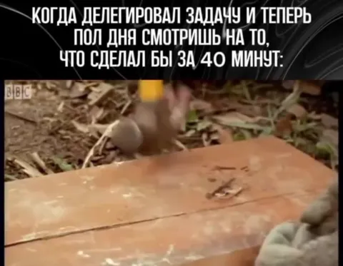 Делегировал задачу и ждёшь