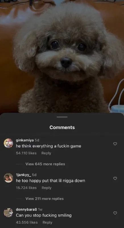 Dog Smiling Through Everything