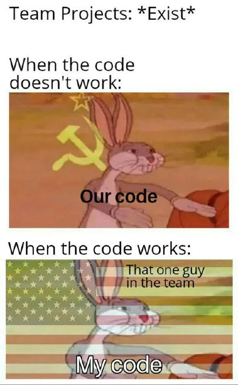 That One Guy Makes the Code Work