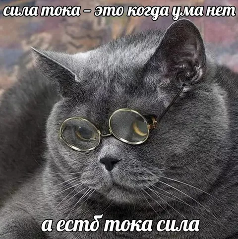 Сила тока и сила тока