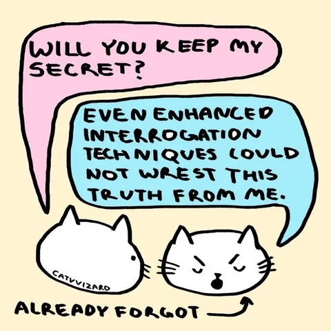 Already Forgot the Secret