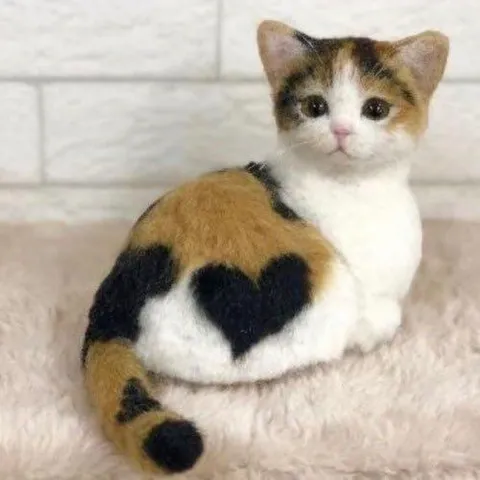 Котёнок с сердечками на спине