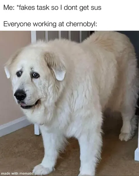 Chernobyl Workers Dog Reaction