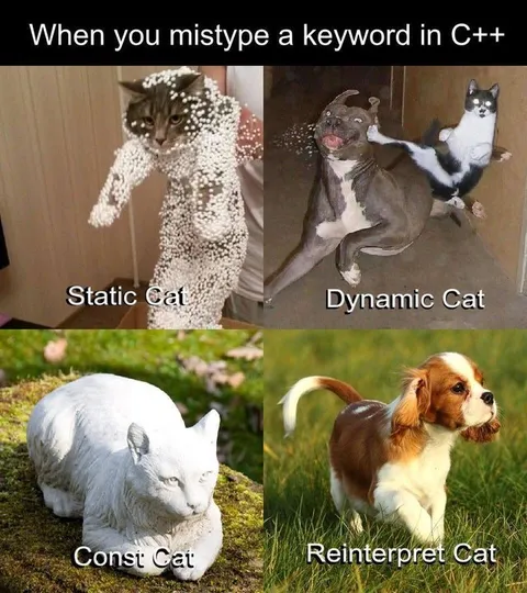 C++ Typo Cat Types