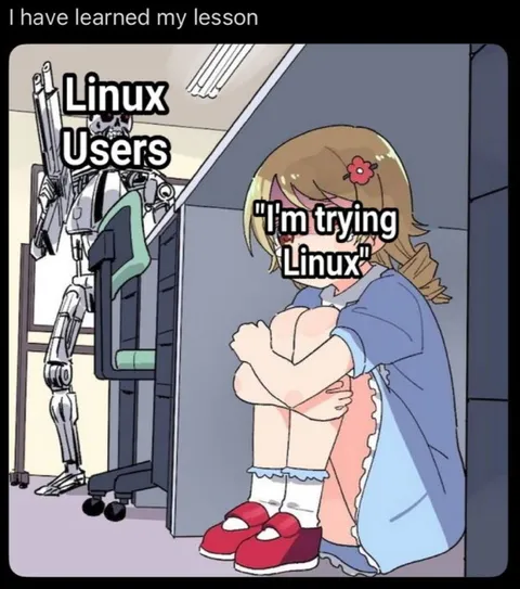 I Have Learned My Lesson Linux