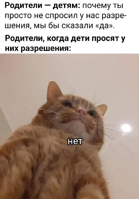 Родители всегда говорят нет