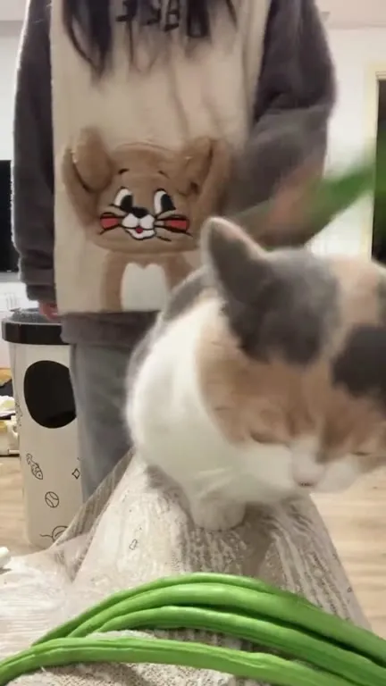 Cat Eats the Green Beans