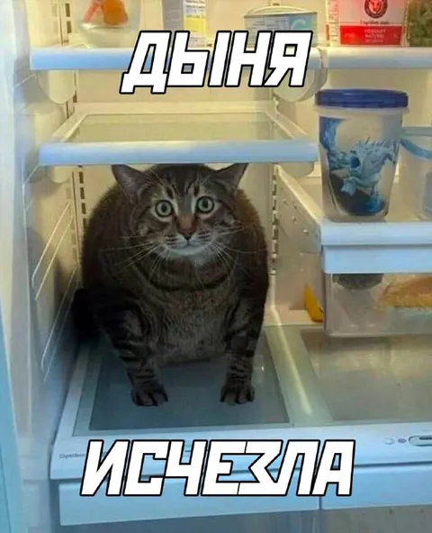 Дыня исчезла из холодильника