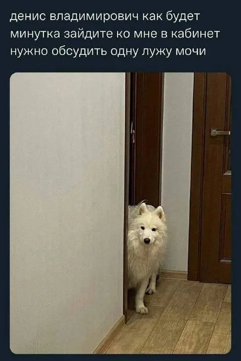 Начальник зовёт обсудить лужу