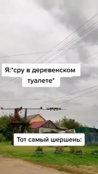 Тот самый шершень над туалетом
