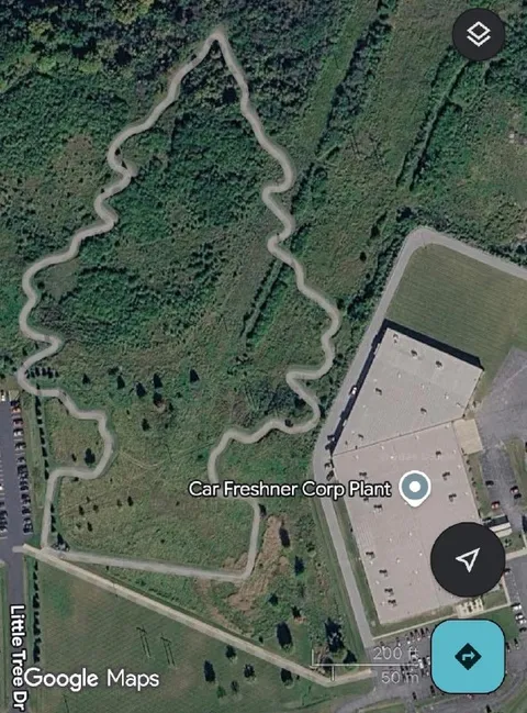 Tree-Shaped Road to Air Freshener Plant