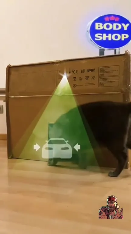 Gato tuneado como coche de carreras
