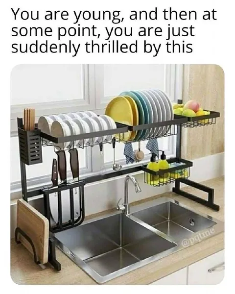 Young Person Suddenly Loves Dish Rack