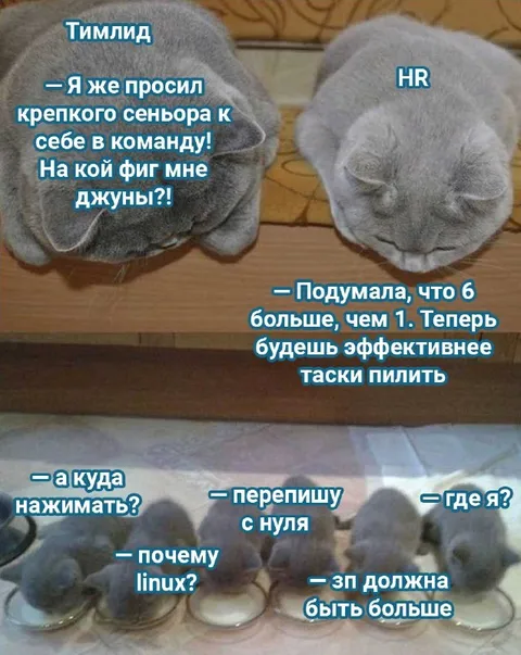Тимлид нанял слишком много джунов